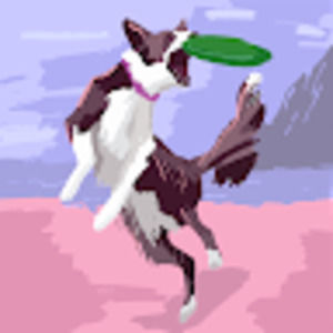 Meet your Posher, Ali